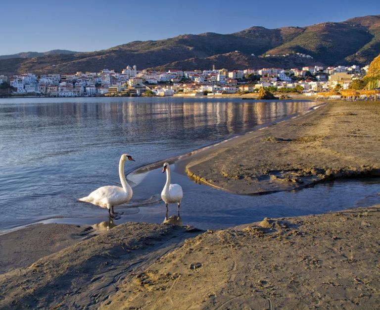 Πλατανακι 2 Seaview Apartment Ándros Kültér fotó